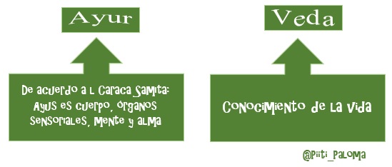 ayurveda significado @piiti_paloma