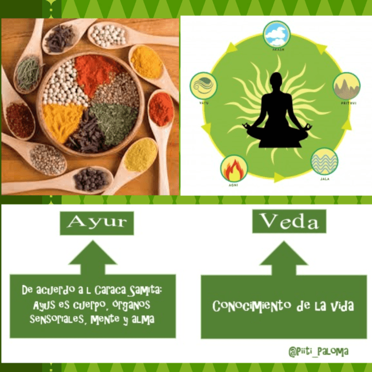 ayurveda significado