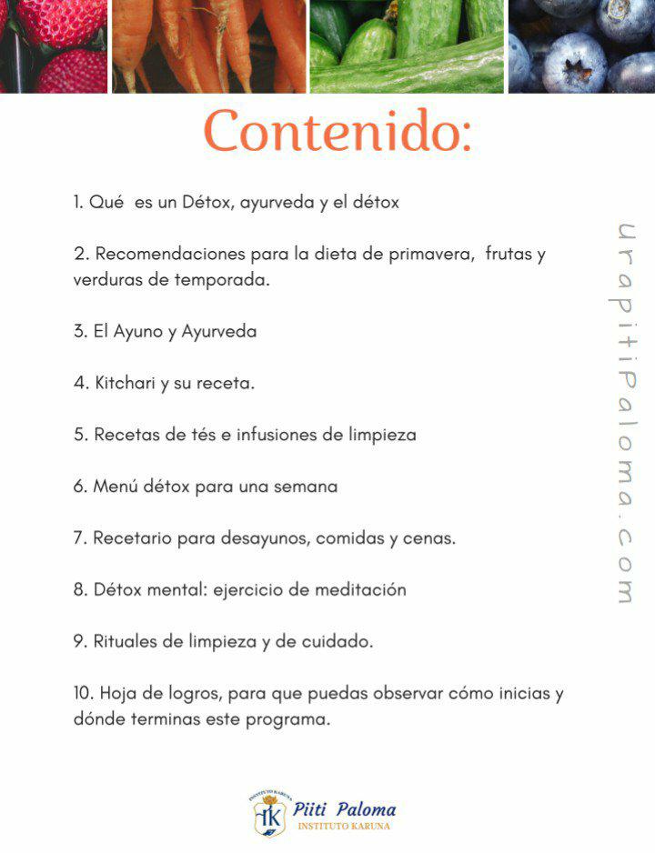 contenido detox